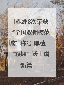 株洲8次荣获“全国双拥模范城”称号 厚植“双拥”沃土谱新篇
